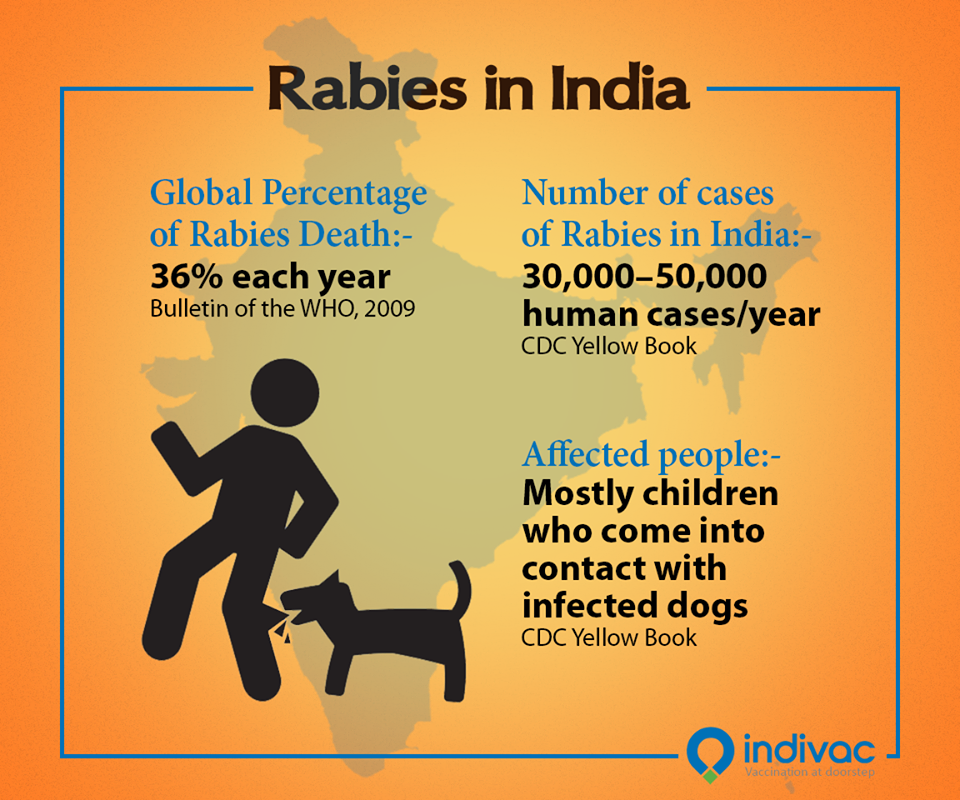 Rabies Facts & Statistics