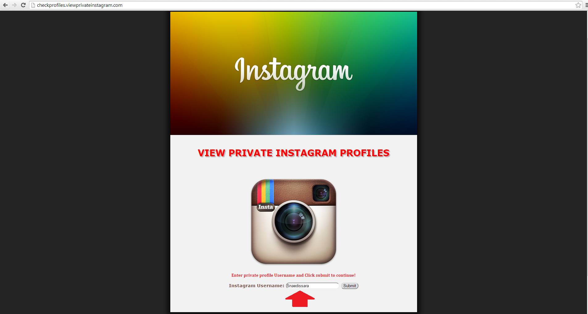 How to watch private instagram profiles