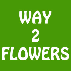 Way2flowers Blog Zumvu