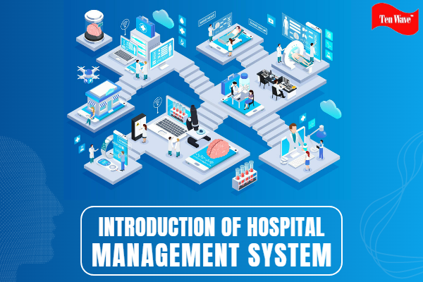 Introduction Of Hospital Management System IT Computer Web