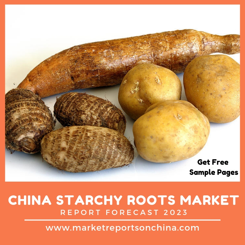 china-starchy-roots-market-trends-and-forecast-2023